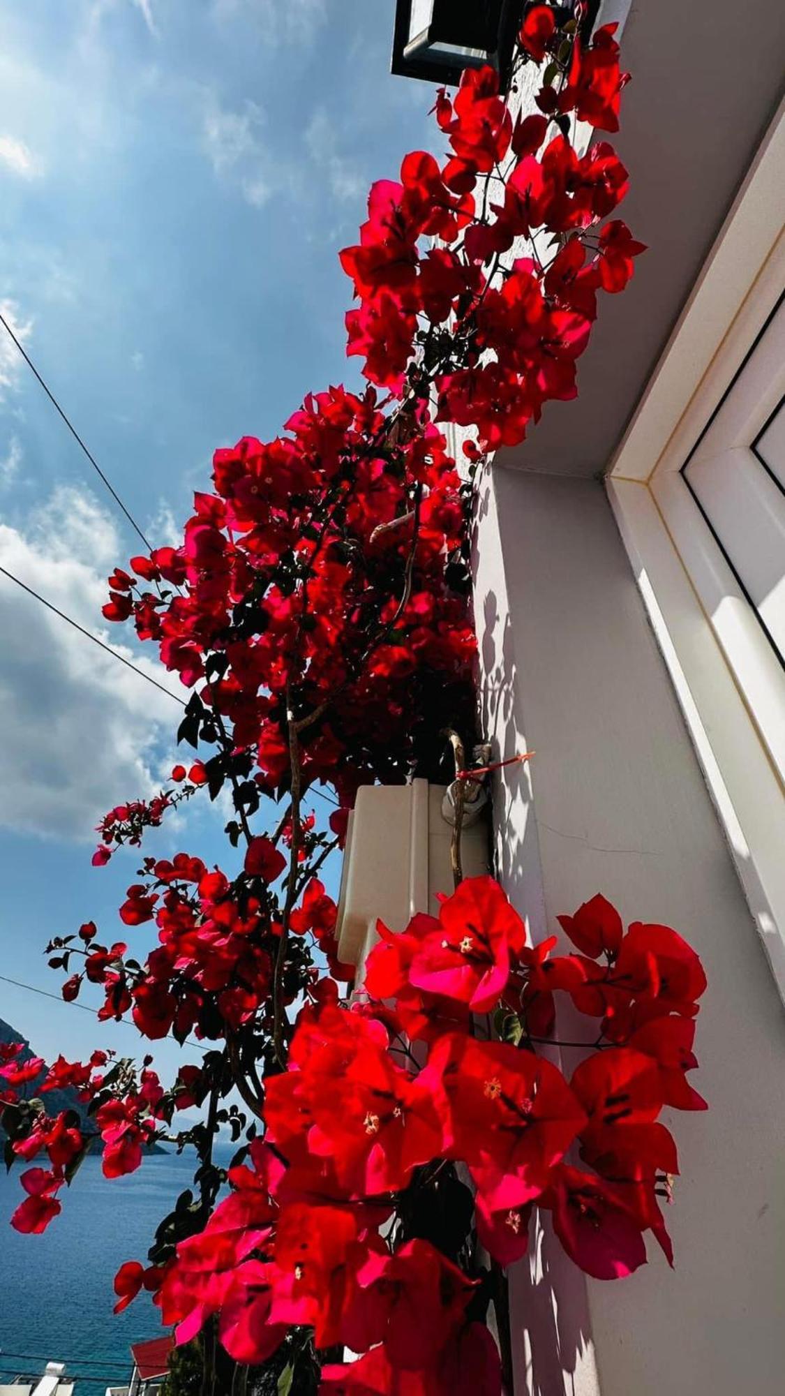 Elenis Studios&Apartments Masouri Zewnętrze zdjęcie